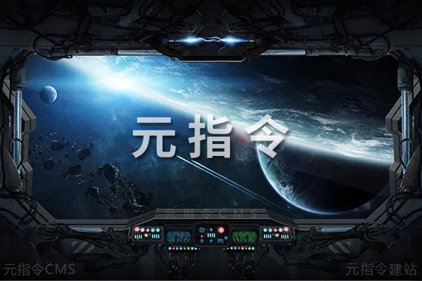 元指令