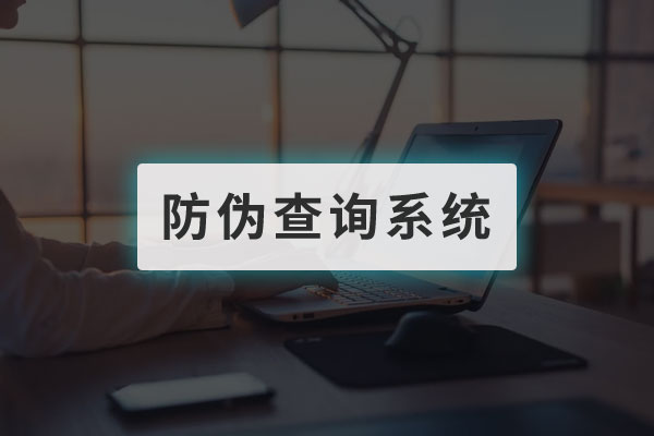 防伪查验系统